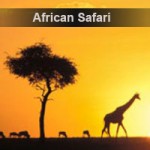 African Safari2