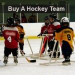 Buy A Hockey Team